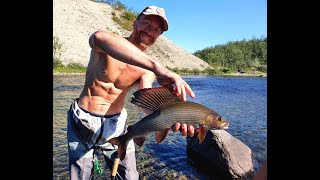 Huge grayling / Valtava harjus