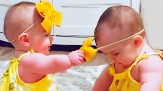 1 HOUR Compilation of Hilarious Baby Twins - Funny Baby Video || Cool Peachy