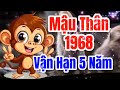 vận trình mậu thân 1968 trong 5 năm tới sẽ như thế nào gia Đạo và công danh có chuyển biến gì