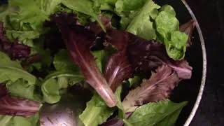 Review Compliments Organic Half anf Half Baby Greens