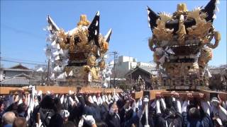 住吉神社北条節句祭本宮　御旅所　谷、小谷２台差し（平成２９年４月２日）