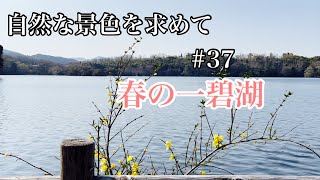 【自然散策】一碧湖の散策:Walking around Lake Ippeki（Shizuoka, Japan）