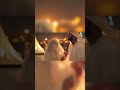 dubai ky shaikh sy neelam muneer ka nikha video 💞 wedding neelammuneer shots