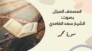 سورة محمد #مكررة - القارئ: سعد الغامدي #المصحف_المرتل برواية #حفص_عن_عاصم