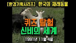 [아카이브] ‘퀴즈탐험신비의세계’-한국의재래동물 (1991/11/04)