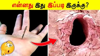 என்னது இது இப்படி இருக்கு! Microscope Image-2 |Facts in Tamil_Facts in Minutes_Tamil facts #Shorts