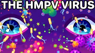 The HMPV Virus Explained \u0026 What You Should Do