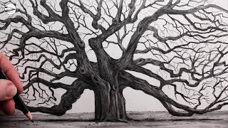 How to Draw an Old Oak Tree: Narrated Step by Step
