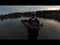 trout fishing laguna niguel lake 1 25 2025