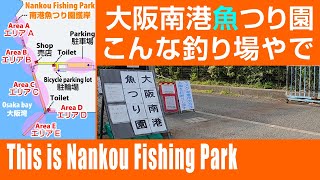 大阪南港魚つり園 ファンによる魅力紹介【魚種豊富】釣果例も