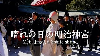 That’s TOKYO【晴れの日の明治神宮 平成27年 成人の日】Meiji jingu  a Celebrating day 2015-1-12