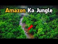 Most Dangerous Animals In Amazon Rainforest 😱 | Mysterius Facts About Amazon Rainforest