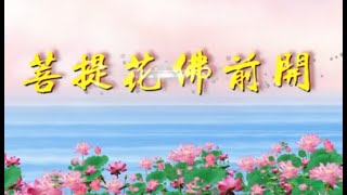 舞蹈 菩提花佛前开