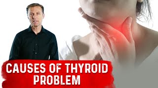 What are the Real Causes of Thyroid Problems? – Dr.Berg