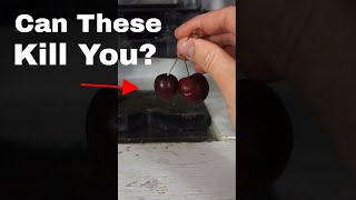 Does Eating Two Cherries Kill You?