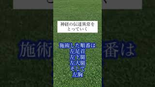 腕を上げると肩が痛い、倒立できずに困っている体操教室の先生を改善、町田市にあるむらやま整骨院