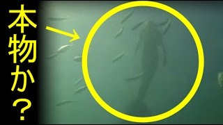 生きた人魚らしき映像