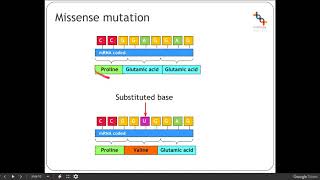 6a Gene Mutations