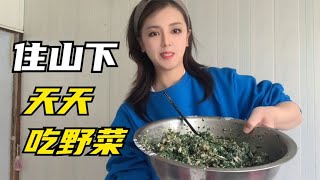 婆婆丁包子你们吃过吗？老妈蒸一锅白胖松软野菜大包子，香懵啦