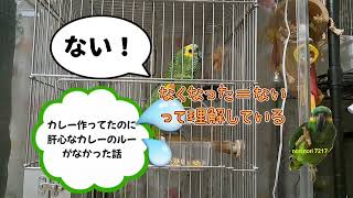 アオボウシインコ　ドスのおしゃべり　カレー作ってんのにカレーのル－がなかった話