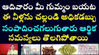 ఆదివారం మీ గుమ్మం బయట ఈ నీళ్లను చల్లండి అధిక డబ్బుసంపాదించగలుగుతారు ఆర్థిక సమస్యలు తొలగిపోతాయి