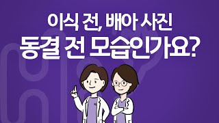 시험관 시술 Q\u0026A | 이식 전 배아 사진은 동결 전 사진인가요?