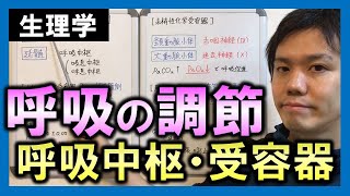 【基礎から勉強・生理学】呼吸の調節（呼吸中枢・受容器）【理学療法士・作業療法士】