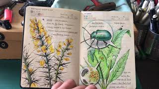 My Nature Journal so far ...