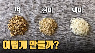 현미와 쌀은 어떻게 만들까? (쌀 도정 과정)