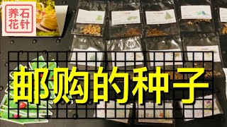 网购的种子开邮包 - 分享网购种子的小经验