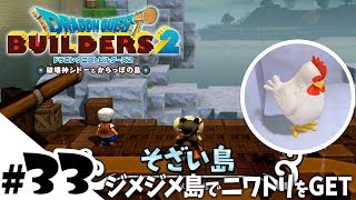 #33【DQB2】ツッコミ実況【女性実況】ジメジメ島でニワトリをGET！