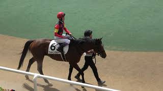 【武豊】札幌2歳Sday 第7R 兄弟タッグだったけど馬が無事なら仕方なし 現地映像