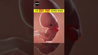 human body । মানবদেহের অবাক করা তথ্য  | sommohon | সম্মোহন