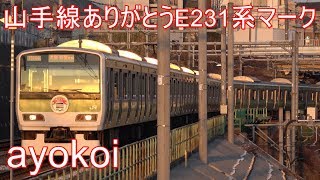 さよなら山手線E231系500番台 ありがとうヘッドマーク