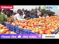 chintamani today 12 02 2025 today tomato rates in chintamani venu7tv today viral video