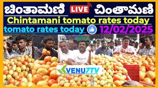 ||Chintamani ||today ||12/02/2025 ||today tomato rates in Chintamani #Venu7tv #today #Viral video