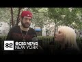 What do New Yorkers think of climate change? | Your Point