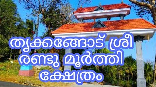 തൃക്കങ്ങോട് ശ്രീ രണ്ടു മൂർത്തി ക്ഷേത്രം|| Thrikkagodu randu moorthi zhethram || SRL WORLD