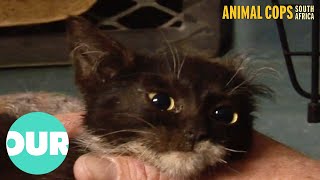 Animal Cops Try To Rescue Trapped Kitten | Animal Cops South Africa Ep14 | Our World