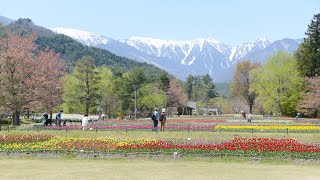 国営アルプスあづみの公園　　　春のシンフォニー　二人の天使