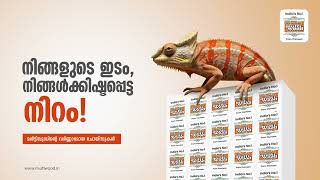 നിങ്ങളുടെ വീടുകൾക്ക് നിങ്ങൾക്കിഷ്ടപ്പെട്ട നിറം | Thomson Multiwood