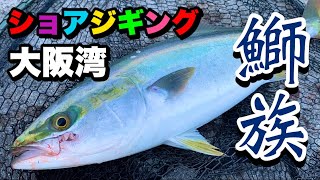 鰤、メジロ、サワラが釣れている海でショアジギングしてみると激アツだった。○○人工島 2022年7月28日