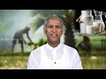 పాల పదార్థాలు వాడటం ప్రాణాంతకమా milk products usage healthy villagers manthena s health tips