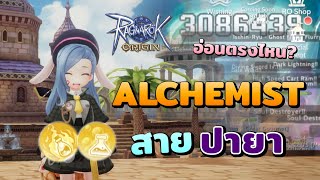 ไกด์ Alchemist สาย ปายา ล่าบอสโหดมากๆ | Ragnarok Origin Alchemist Guide