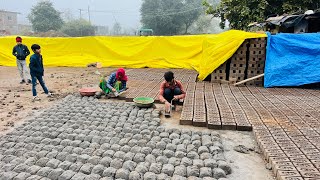 मिट्टी का ईट कैसे बनाते है l Clay Bricks l Mud Bricks Making l How To Make Bricks