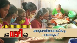 കശുവണ്ടിമേഖലയ്ക്കും പറയാനുണ്ട്; പഞ്ചായത്ത് വഴി തൊഴിൽമേഖലകളിലൂടെ |Kollam Panchayt vazhi