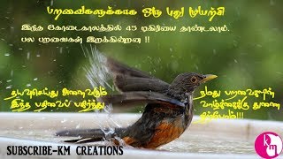 பறவைகளுக்காக ஒரு புது முயற்சி- A new effort for birds