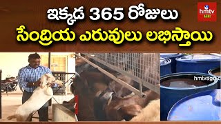 365 రోజులు సేంద్రియ ఎరువులు లభిస్తాయి | Organic Fertilizer Making Process by Subhash | hmtv Agri