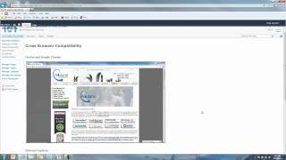101 SharePoint Usability Tips - # 79 Browser Compatibility