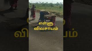 #ஒரு வேளை சொத்துக்காக #tamil #song